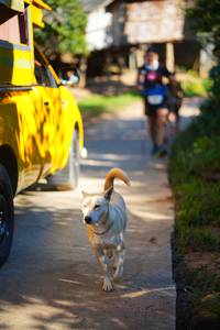 BIB: 
                            <button type="button" onclick="openModal(19338971)" class="btn btn-primary btn-sm float-right btn-popup" data-toggle="modal" data-target=".modal-high-quality">
                        <i class="fas fa-shopping-cart"></i> Add to Cart
                    </button>
                                            <button type="button" onclick="isThisMe(19338971, true)" class="btn btn-success btn-sm float-right btn-popup btn-isme hidden" data-toggle="tooltip" data-placement="bottom" title="นี่คือรูปของคุณใช่ไหม คลิกที่นี่เพื่อเอาเข้าอัลบั้ม">
                        <i class="fas fa-plus"></i> Add to album
                    </button>
                    <button type="button" onclick="isThisMe(19338971, false)" class="btn btn-warning btn-sm float-right btn-popup btn-isnotme hidden">
                        <i class="fas fa-ban"></i> Remove from album
                    </button>